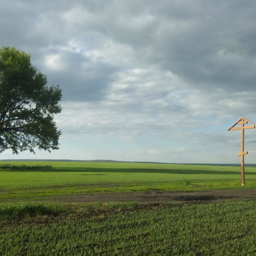 Село Красный Угол. Сторожевой дуб