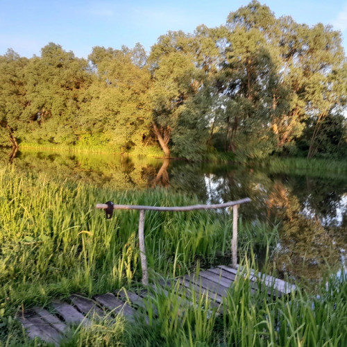 Пионерские костры