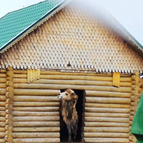 Ряжский зоопарк