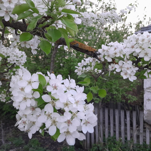 Жизнь при царе Горохе. Часть 3