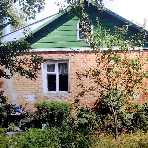 Жизнь при царе Горохе. Часть 8