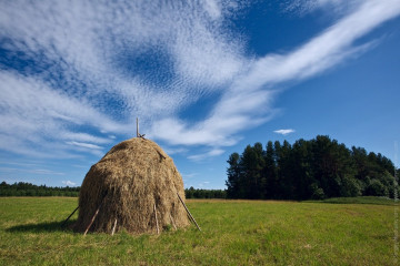 Стог сена