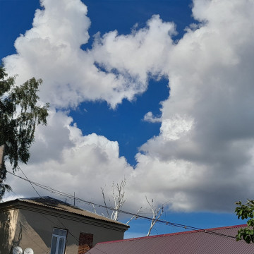 Родовое гнездо