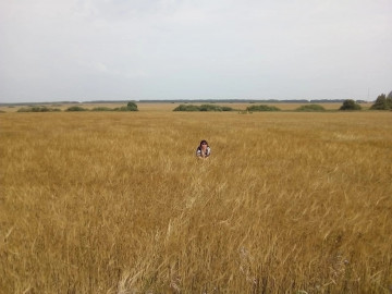 Глубинка
